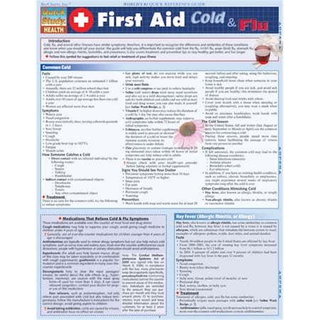 First Aid - Cold & Flu Quickstudy Easel